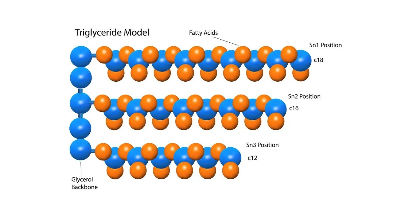 Структура триглицеридов. Триглецирид. Жир триглицерид формула. Стеариновый триглицерид стеариновая кислота. Триглицериды жирных кислот.
