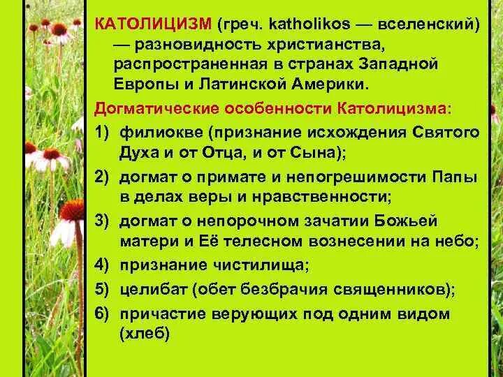 Католицизм это кратко. Основные идеи католицизма. Основы католицизма. Католики основные идеи. Католицизм характеристика религии.