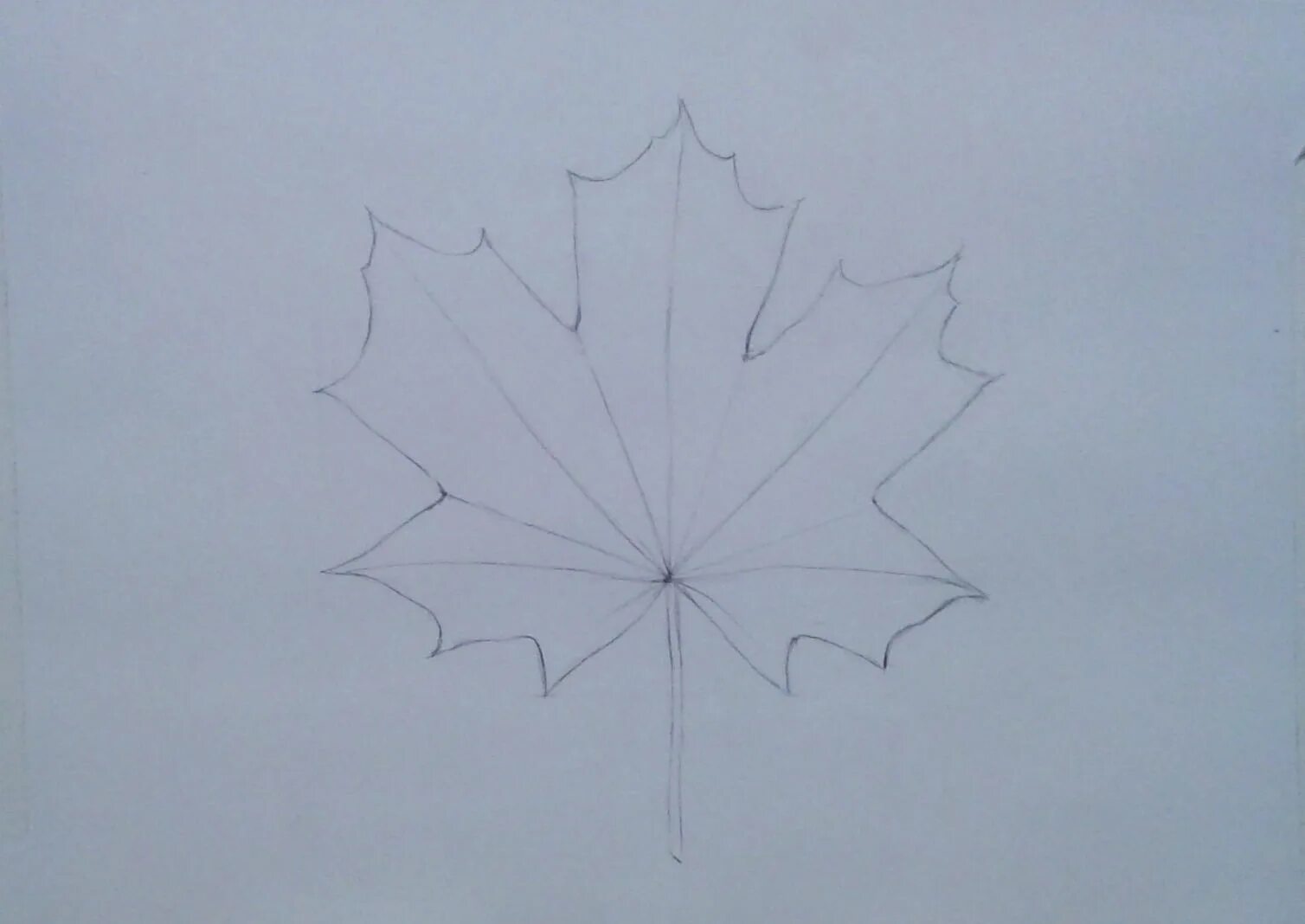Листья карандашом легко. Лист клена поэтапное рисование. Кленовый лист карандашом. Симметричный лист клена. Кленовый лист рисунок карандашом.