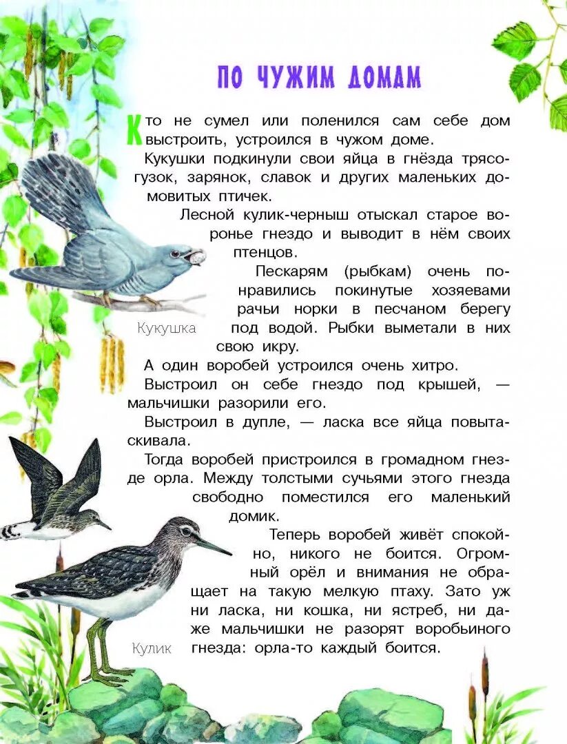 Мини рассказы на русском. Рассказы о природе. маленький рассказ о природе. маленькие рассказы для детей. сказка о природе 3 класс.