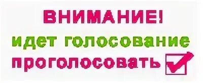Голосование проходит активно. Голосование проходит активно. Голосование проходит активно. Выборы в г. Избиратель на выборах.