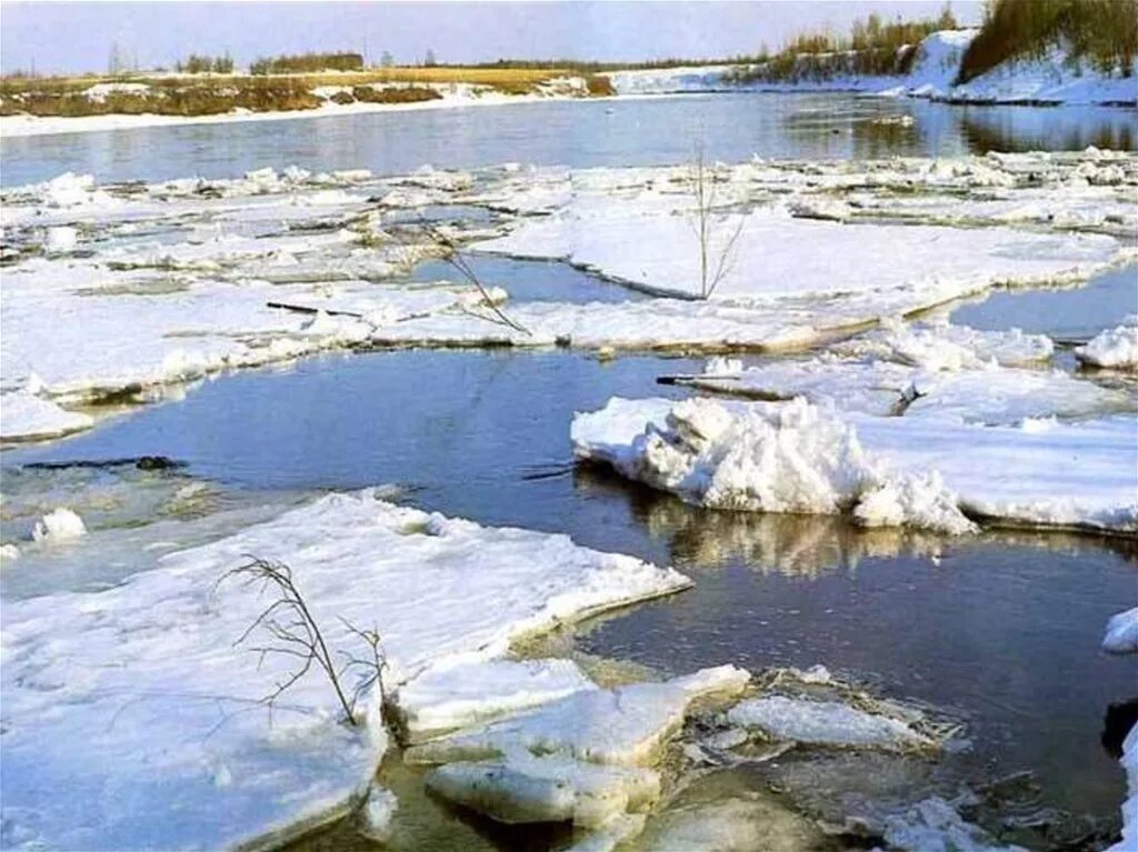 весенние ручьи тютчев. тает снег. правилаповедния весной. что делает вода весной. ф.
