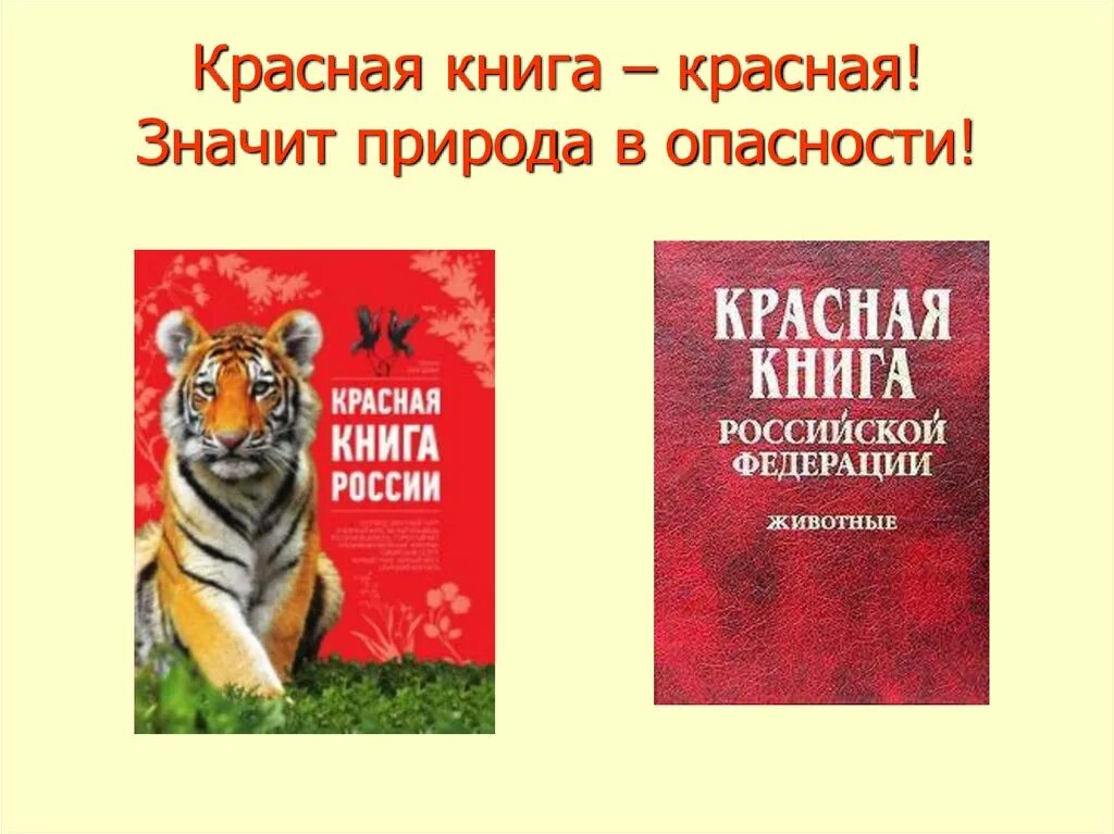 Образцы красной книги. Красная книга. Красная книга России. Международная красная книга. Красный.