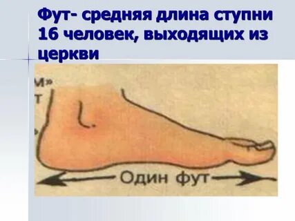 Длина 1 фута в метрах