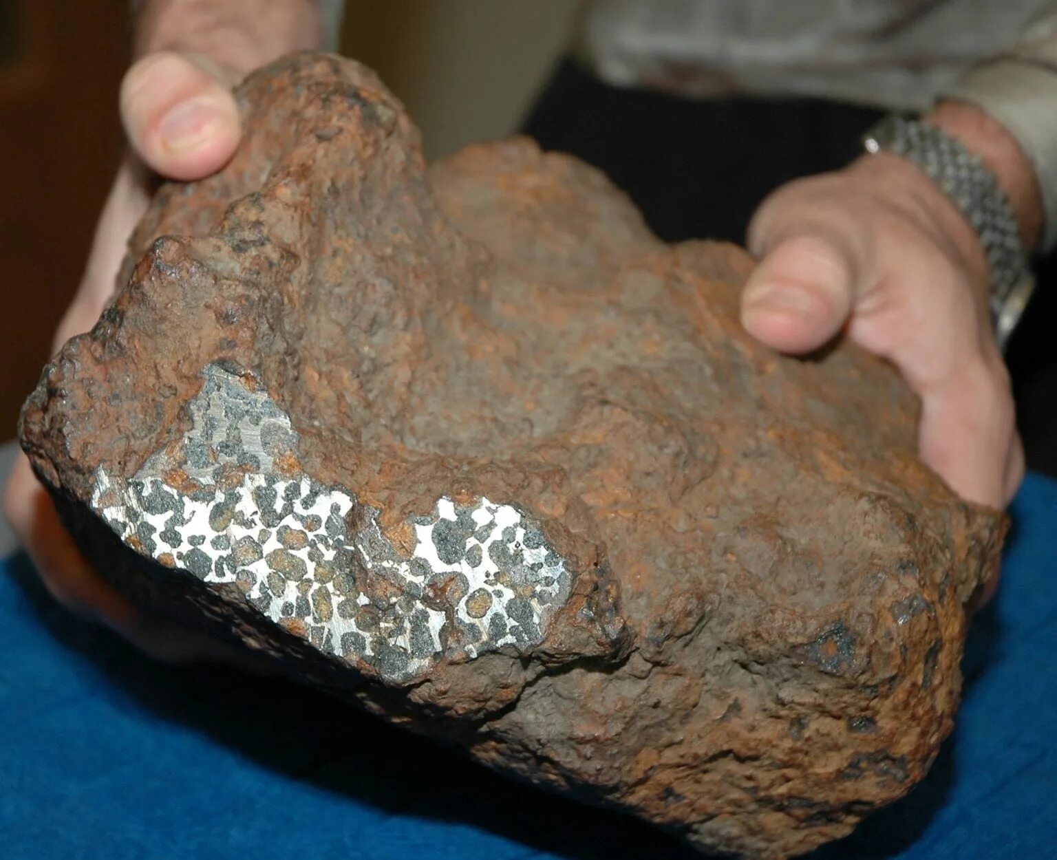 Сможет ли камень. Алтайский метеорит 1904 года. Метеорит магнитится. Камень магнитится метеорит магнетит. Кусок метеорита.