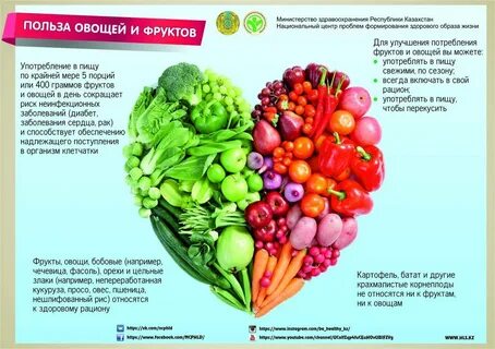 Лечебные свойства овощей