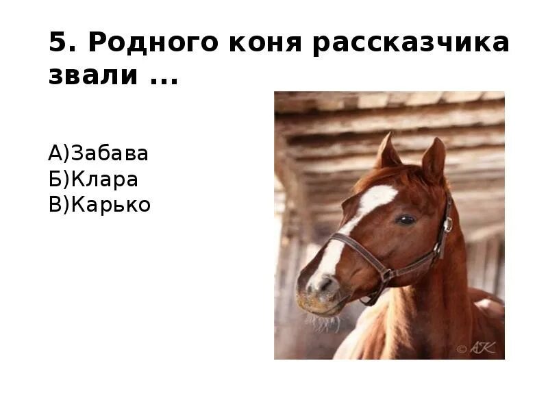 Лошадь плачет. Рисунок к рассказу о чём плачут лошади. Рыжуха образ лошади. Ф Абрамов о чём плачут лошади. Составить план рассказа о чем плачут лошади