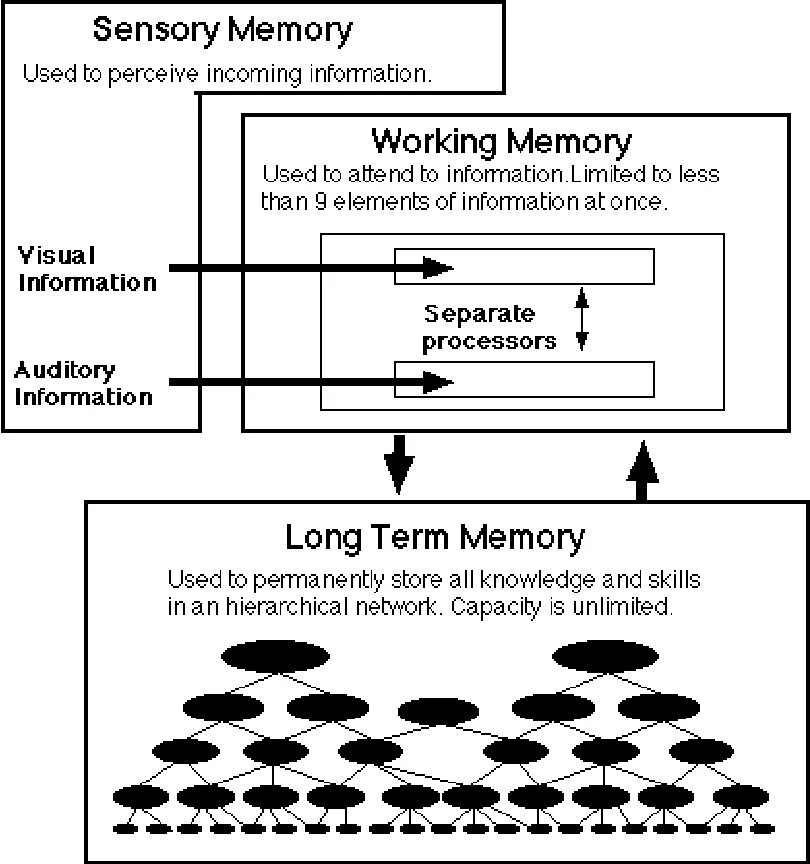 Working memory перевод. Модель рабочей памяти. современная модель рабочей памяти. working memories. рабочая память бэддели.