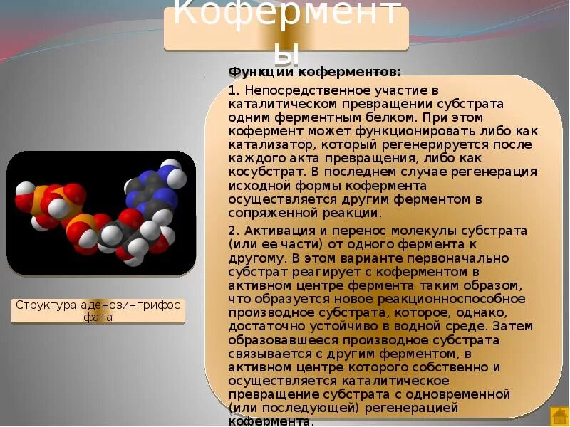 Ферменты коферменты витамины. Регуляторы биомолекулярных процессов. Функции коферментов. Регуляторы биохимических процессов. Ферменты и коферменты.