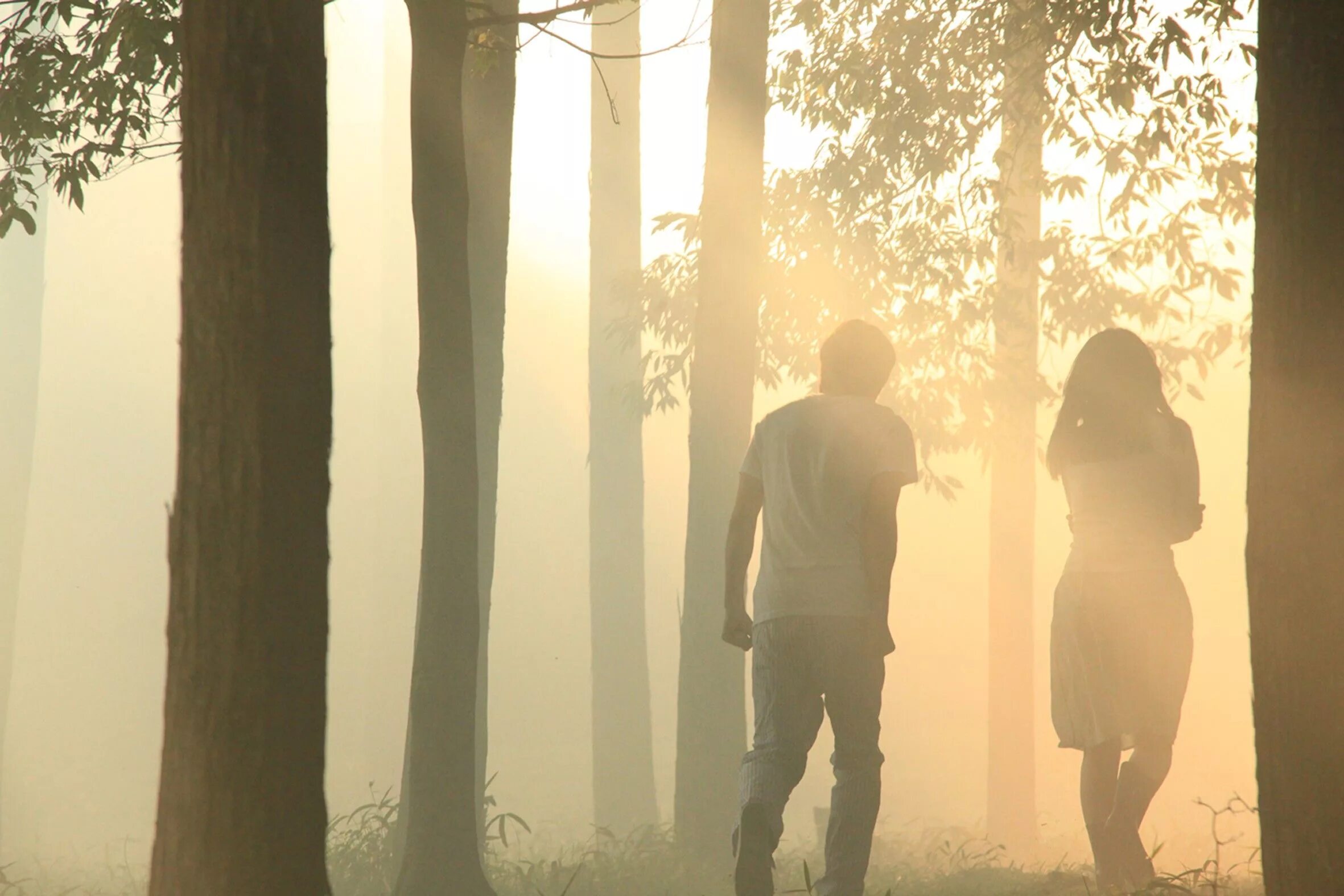 Влюбленные в лесу. Пара у березы. Две девочки гуляют. Две девочки в парке. Фотосессия в лесу.