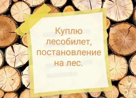 Прибыл он за тем чтобы продать леса