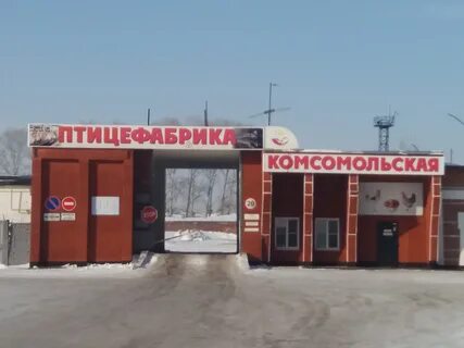 Новые зори