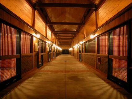 Stable art