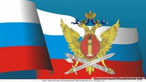 Федеральная служба исполнения наказаний законодательная или исполнительная