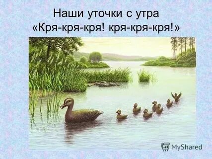 Белый день утки кря кря