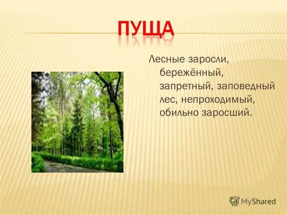 Слово пуще стрелы разит. Ласковое слово что вешний день смысл пословицы. Слово не стрела а пуще стрелы разит. Лексическое значение слова пуща. Приемы объяснения лексического значения слов.