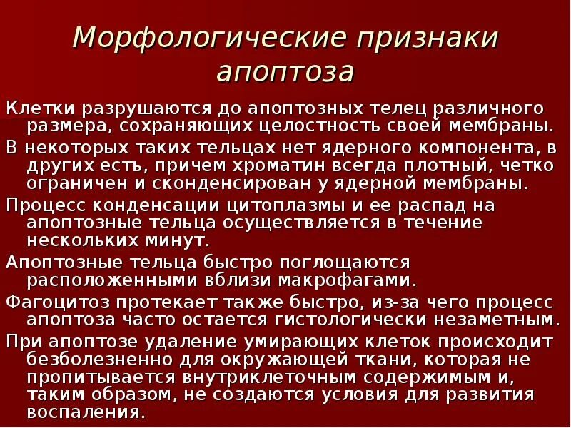 Механическое разрушение клеток. Разрушение клеток латынь. Морфологическая характеристика апоптоза. Разрушение клетки. Строение клетки на латинском языке.