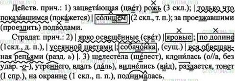 Упр 100 7 класс ладыженская