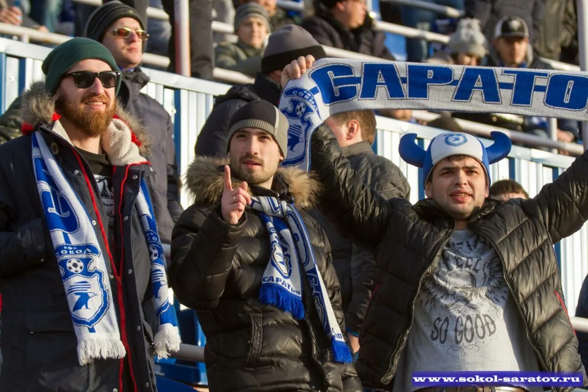 Сокол 2009 саратов. Саратовская футбольная команда сокол. Молуккская пустельга. Белый камчатский кречет. Сегодня сокол.