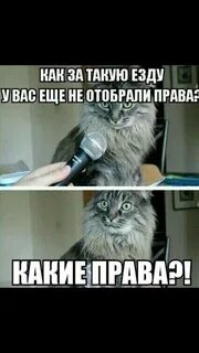 Что он не обязателен