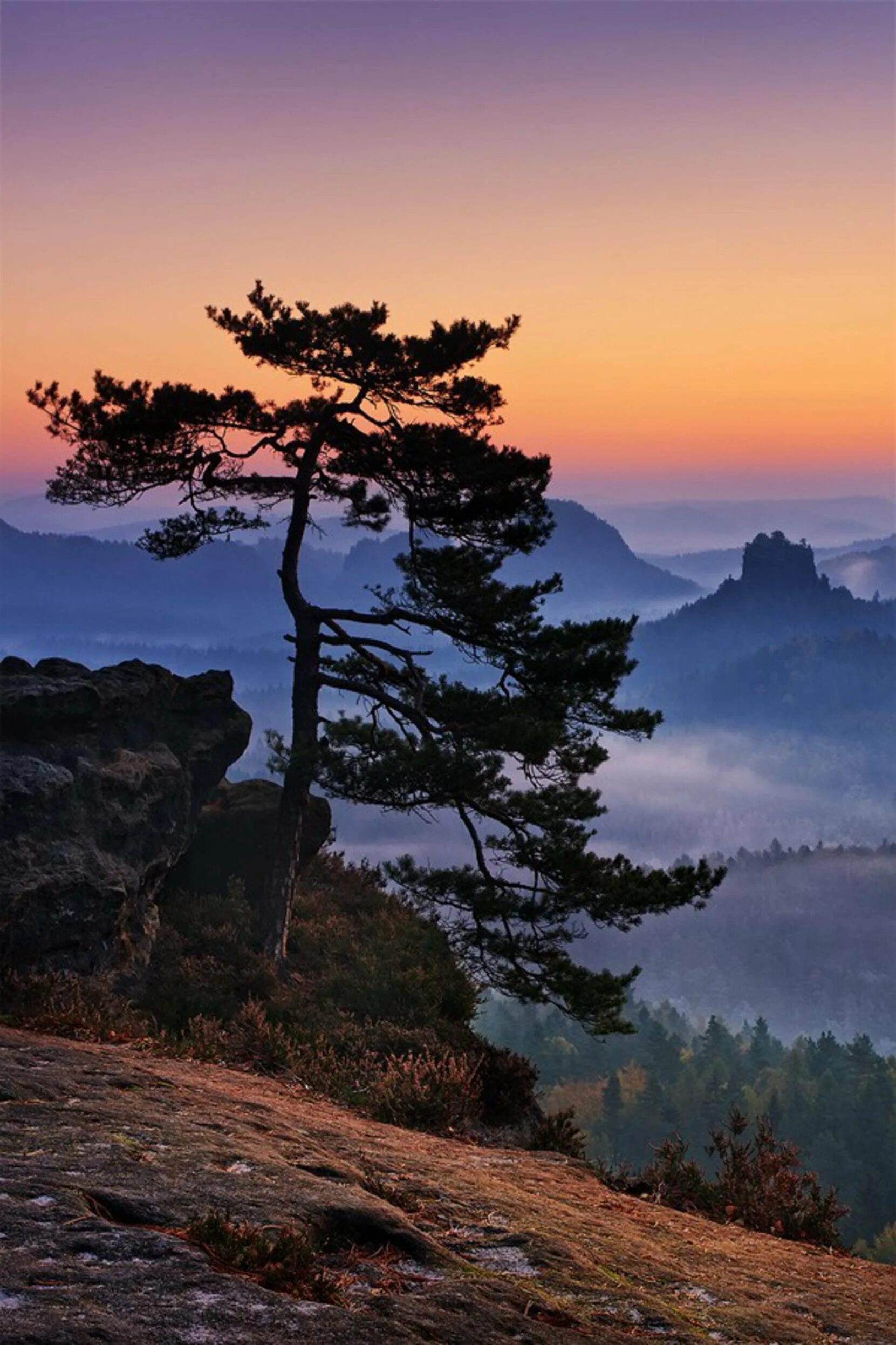 красивый пейзаж. красивый пейзаж вертикальный. пейзаж вертикальный. красивый пейзаж. красивый пейзаж вертикальный.