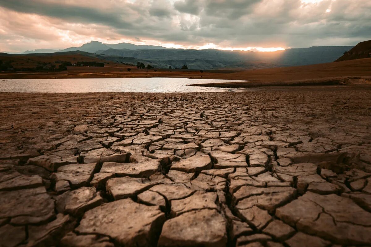 Деревья засуха. Эрозия почвы. Спасение от засухи. Стояла засуха недели. Пустыня засуха.