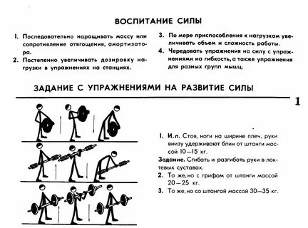 Общие развивающие упражнения это