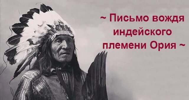 Цитаты вождя. Из письма вождя индейского племени ория. вождь индейского племени ория. проблемы индейцев вождя. проблемы индейцаца вождя.