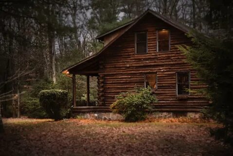 The wood