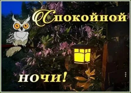 Спокойной ночи осенью картинки прикольные