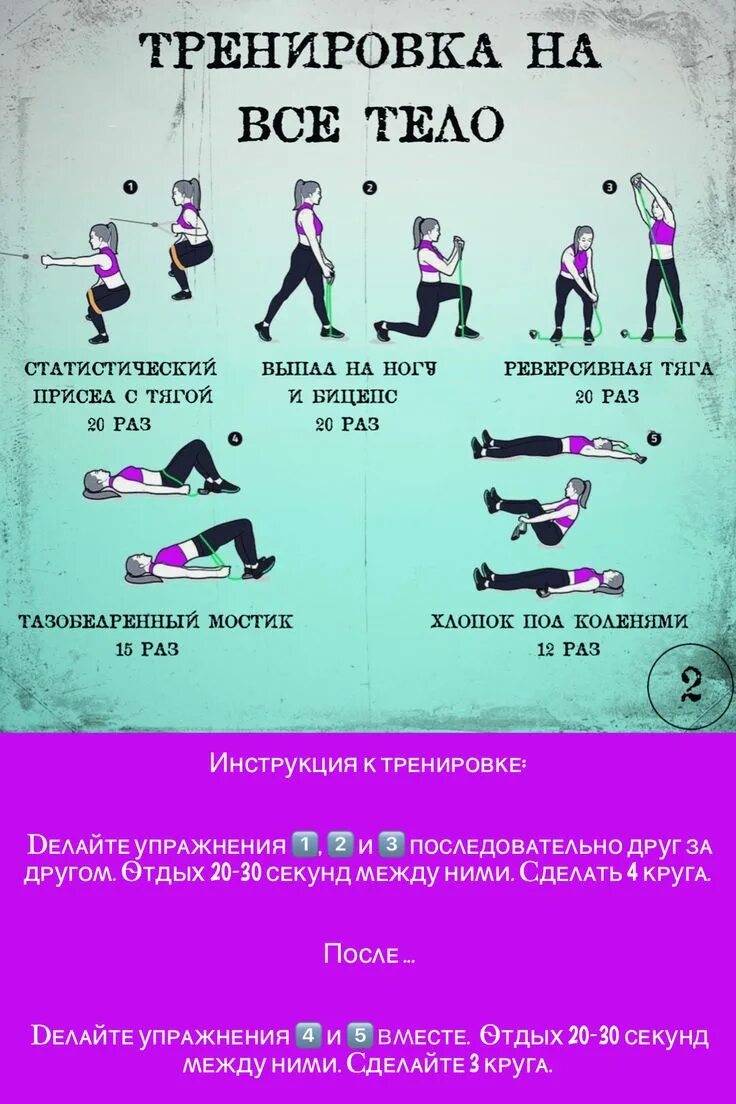 Тренировка дома для начинающих девушек
