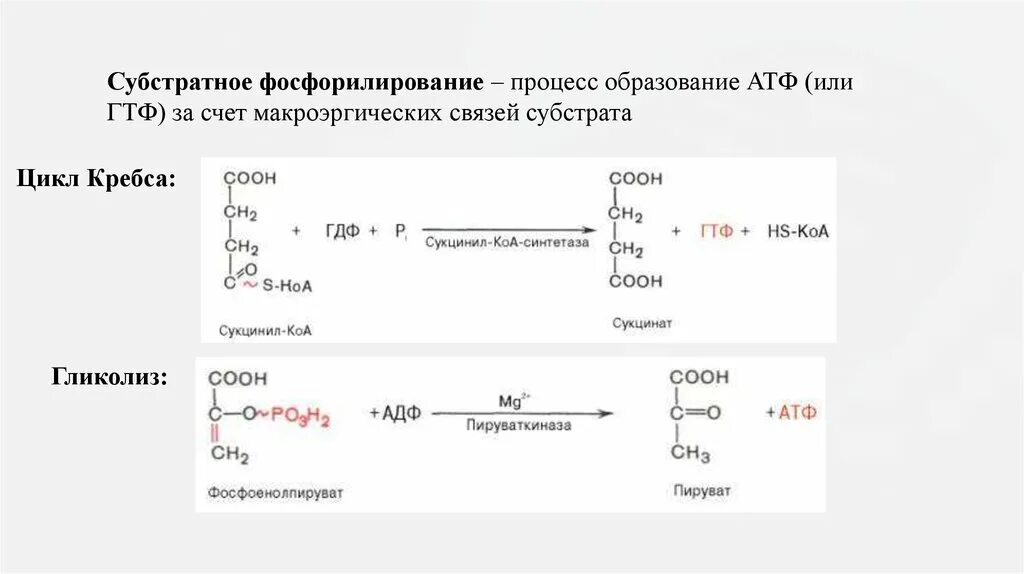 Пути фосфорилирования атф. Типы субстратного фосфорилирования. Фосфорилирование и субстратное фосфорилирование. Субстратное фосфорилирование АТФ. Образование АТФ субстратное фосфорилирование и окислительное.