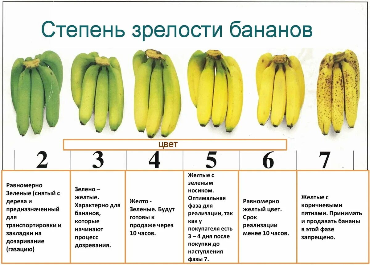 Какие бананы можно есть