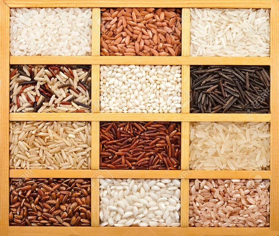 Различие риса. Виды риса. Разные крупы. Разные сорта риса. Сорта бурого риса.