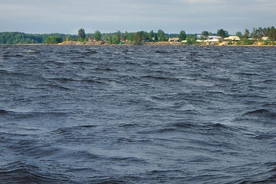 Река Шомохта Нижегородской области. Река Унжа Нижегородская область. Шомохта Нижегородская область Сокольский район. Новая Шомохта Сокольский район Нижегородской области.