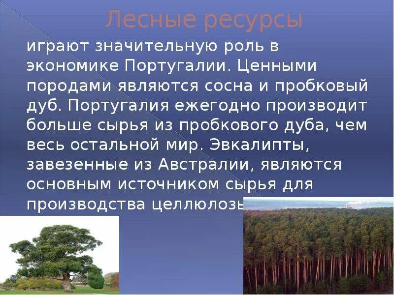 Что производит португалия. Промышленность португалии кратко. Азорские острова виноградники. Португалия транспорт презентация. Промышленность португалии.