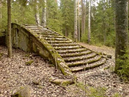 Лестница в лесу