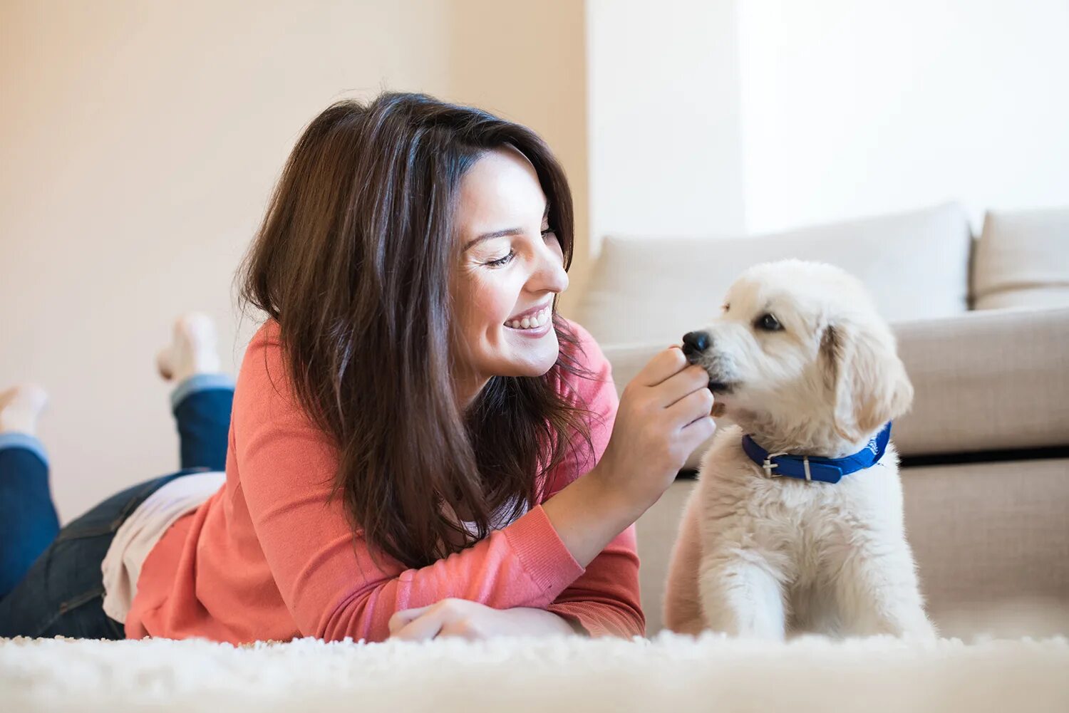 Pets at home