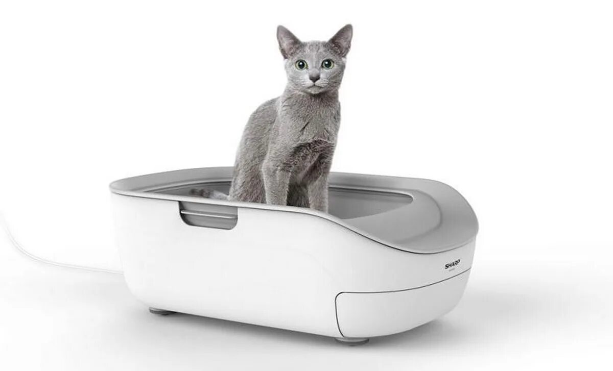 Туалет для кошек. Smart Cat Litter Box. Дизайнерский туалет для кошек. Автоматический горшок для кошек.