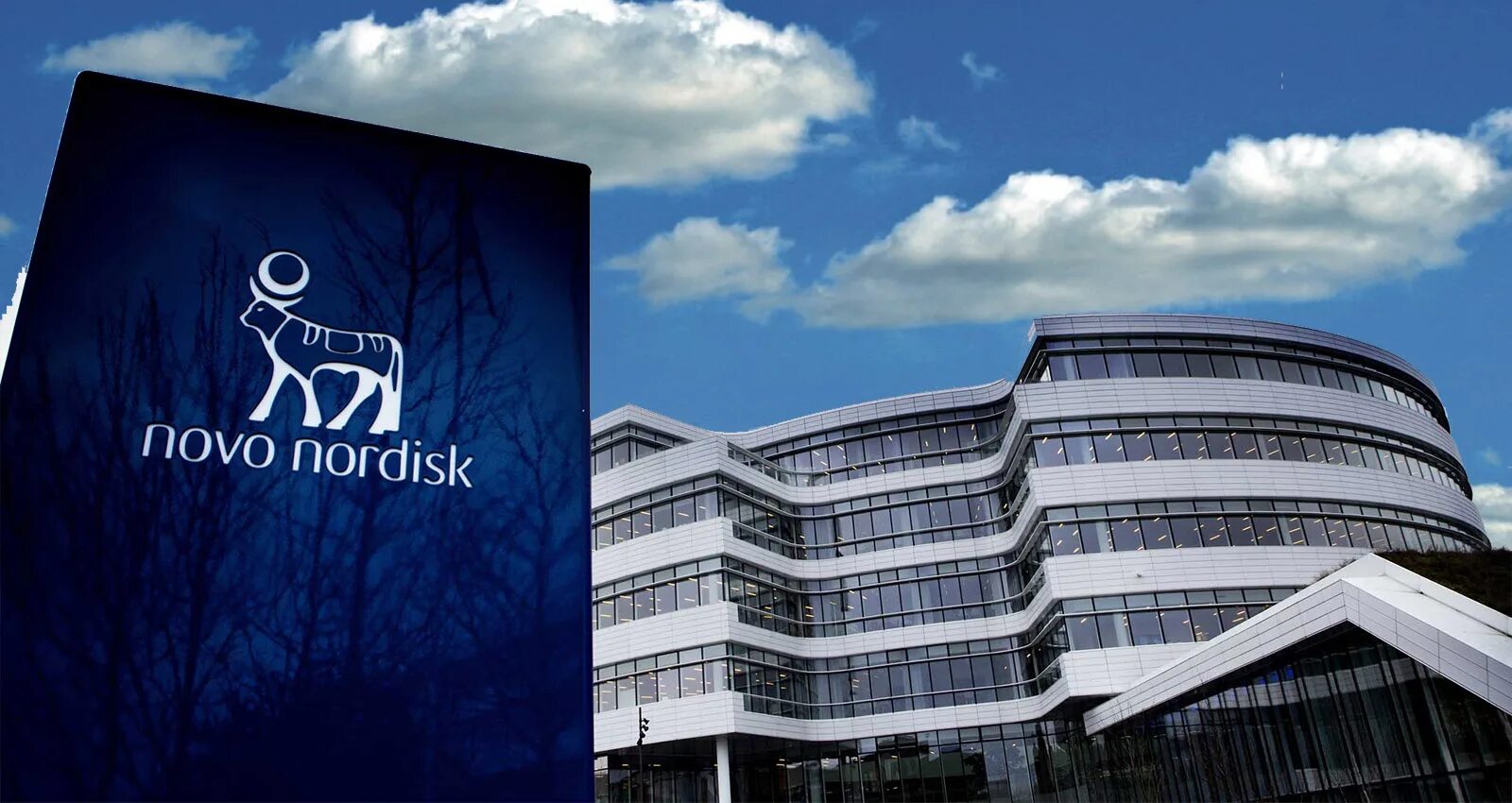 Novo nordisk лого. Ново нордиск дания. Novo nordisk логотип. Novo nordisk калуга. Ново нордиск дания.