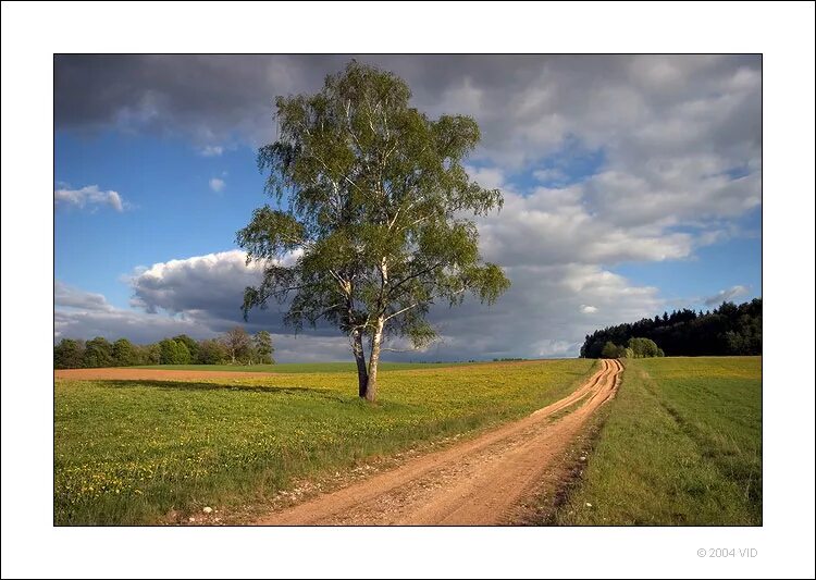 деревенская церковь есенинская русь. видящий на родной земле. родина край родной. сергей есенин русь моя. просторы родины моей.