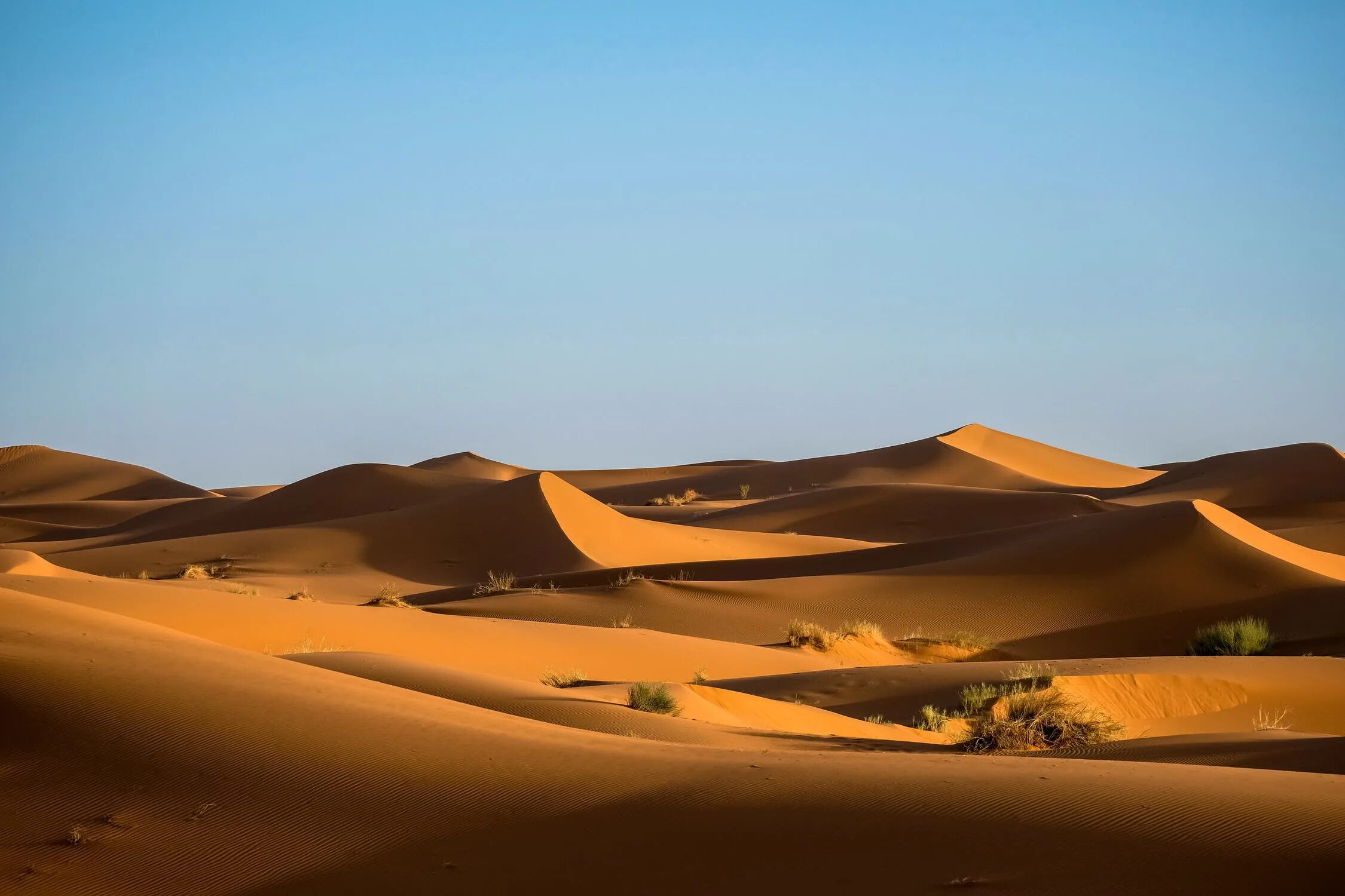 Барханы ханы. Пустыня сахара Барханы. Африка сахара. Дюны Барханы грядовые Пески. Песчано-эоловая пустыня Сахары.