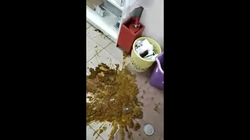 Пить мочу и есть какашки