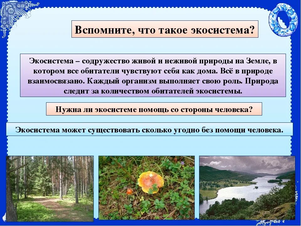 Примеры экосистем. Понятие экосистемы. Экосистема в природе. Экологические системы в природе.