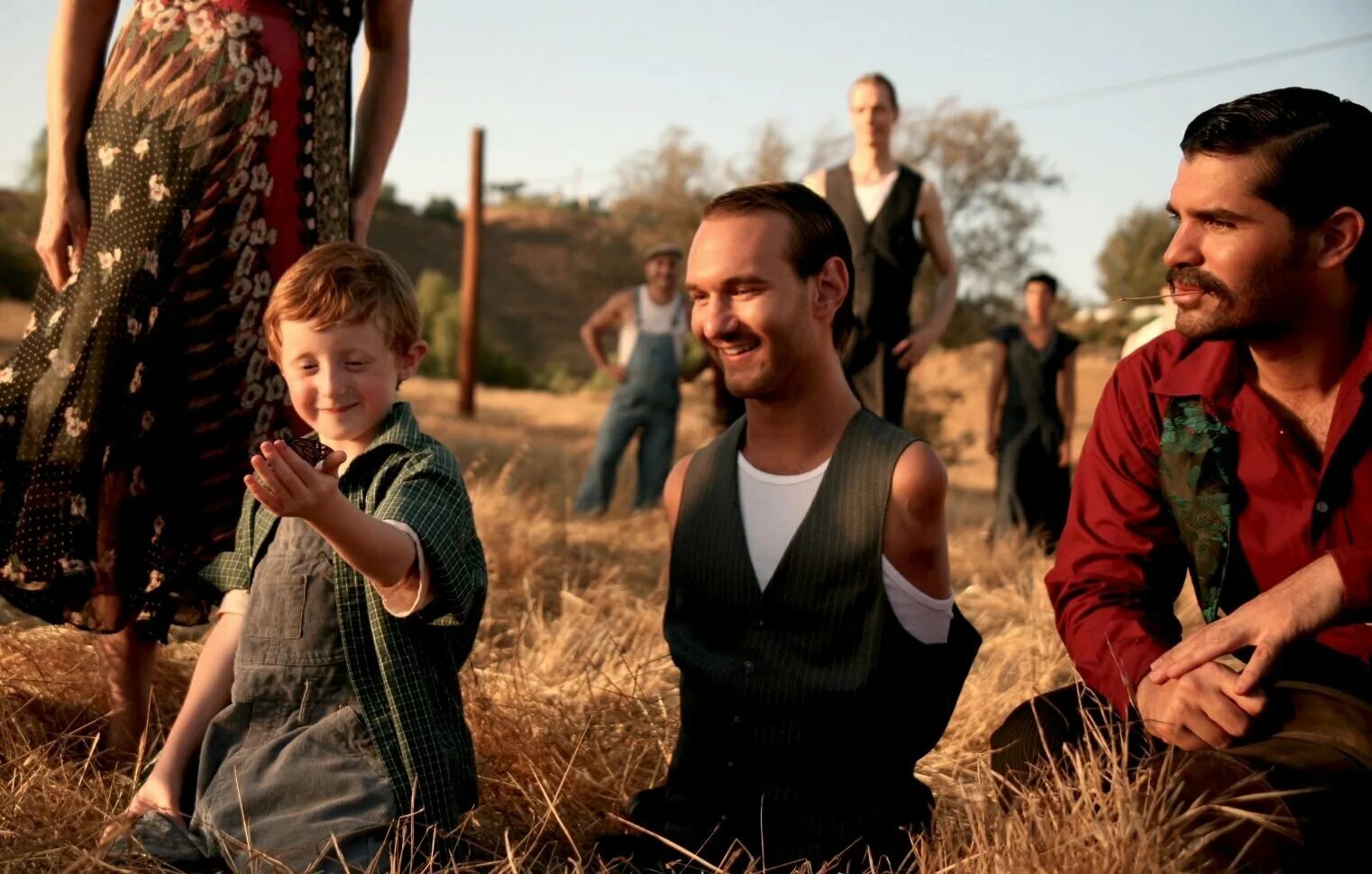 короткометражные бабочки