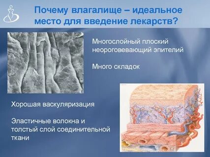 Сухость жжение во влагащение без выделений