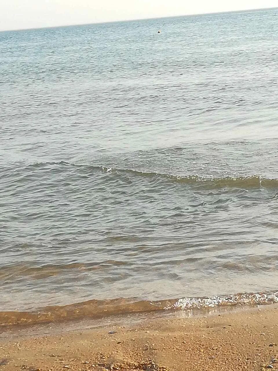 Вода в Анапе сейчас. Анапа вода набережная грязь. Витязево сейчас какая вода. Анапа вода красный цвет. Вода в анапе на 14