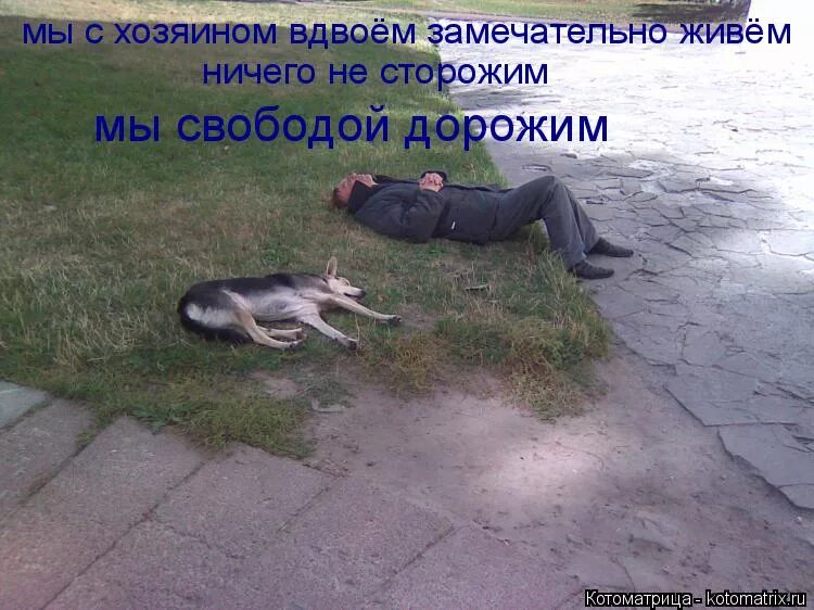 нечего живого