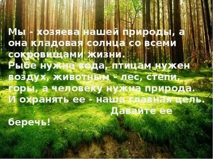 Как и почему нужно охранять леса