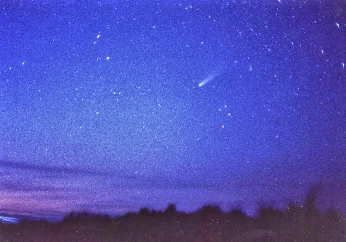 Файл:Lspn comet halley.jpg - Википедия